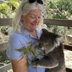  Bingo Koala, Gorge Wildlife Park South Australia.4